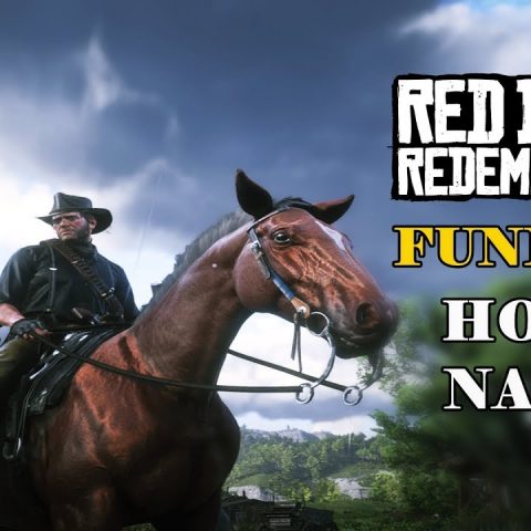 Funny Horse Names Cool Animal Video