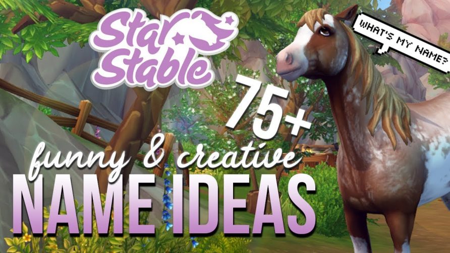 75 Funny And Creative Horse Name Ideas In Sso Star Stable Online Cool Animal Video